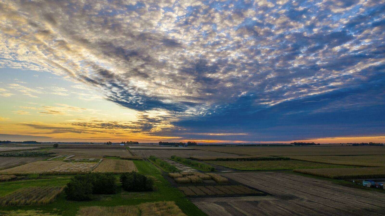 Central Illinois farmland under a wide sunset sky